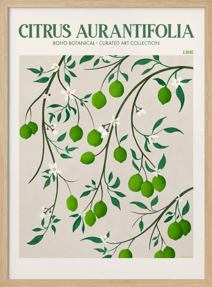 Botanical Lime Bliss | Poster