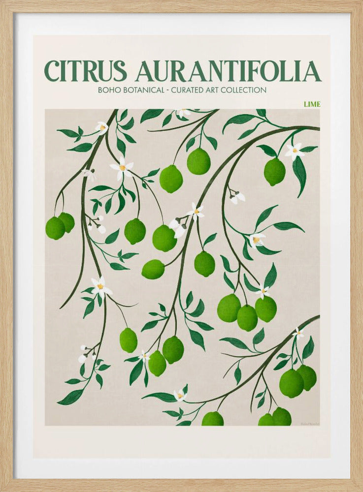 Botanical Lime Bliss | Poster