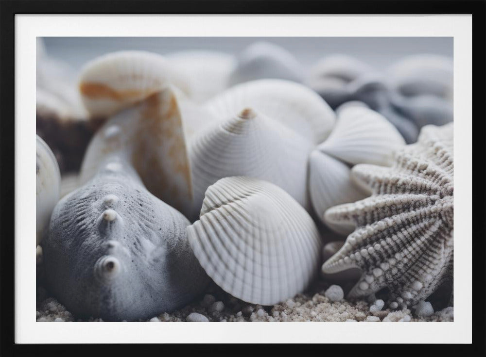 Seashell Serenity | Poster