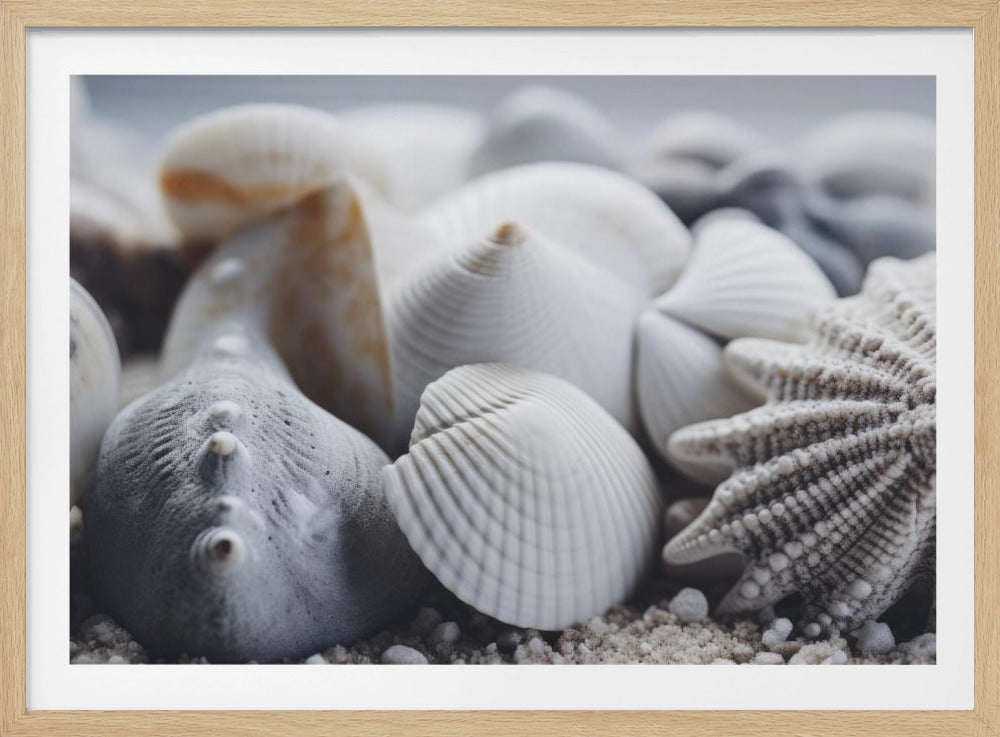 Seashell Serenity | Poster