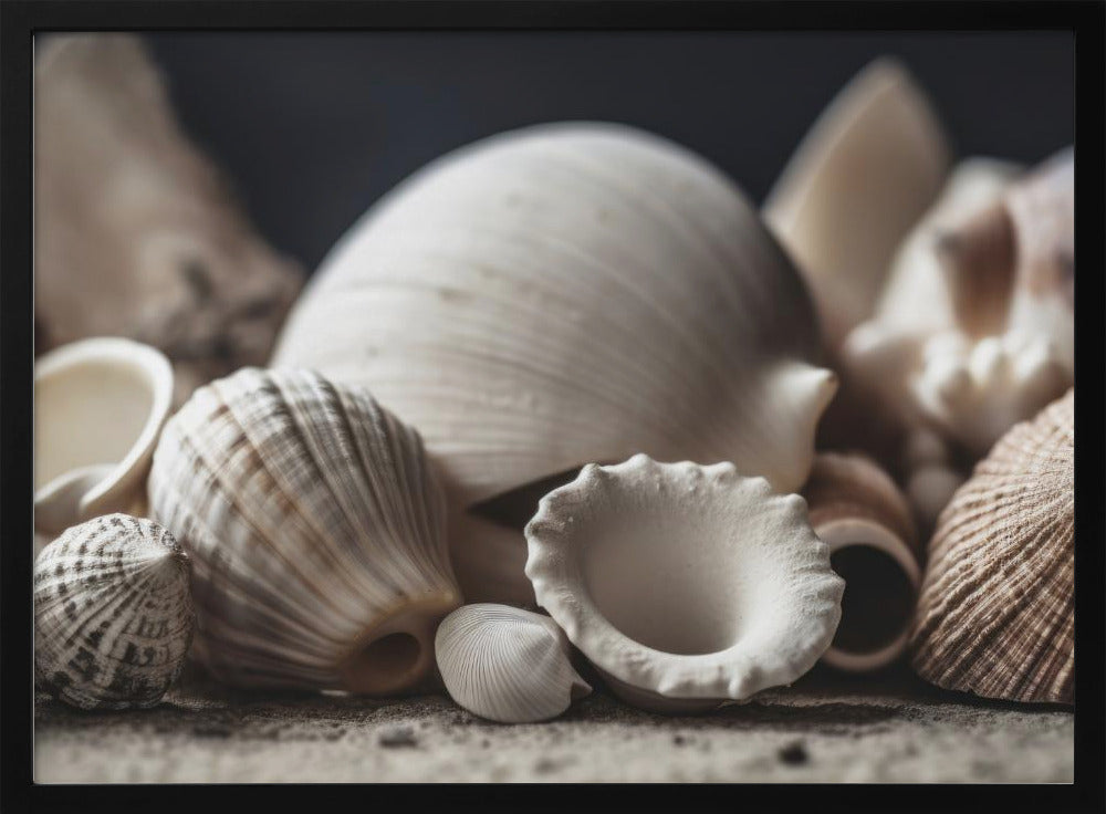 Seaside Treasures | Poster