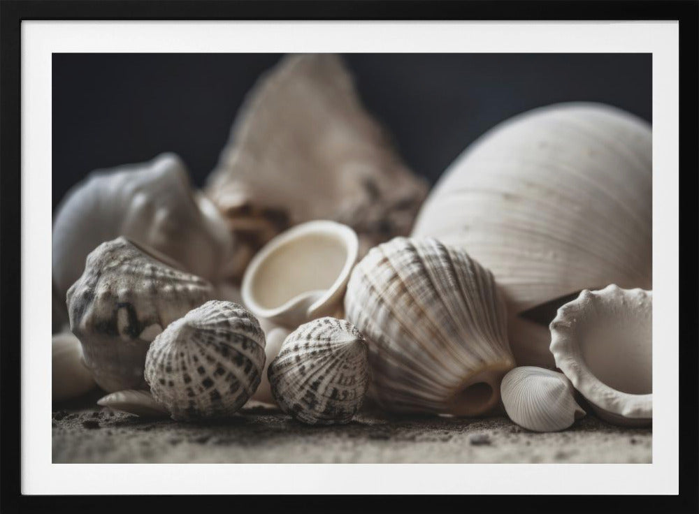 Seaside Treasures | Poster