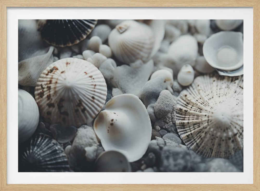 Seashell Symphony | Poster