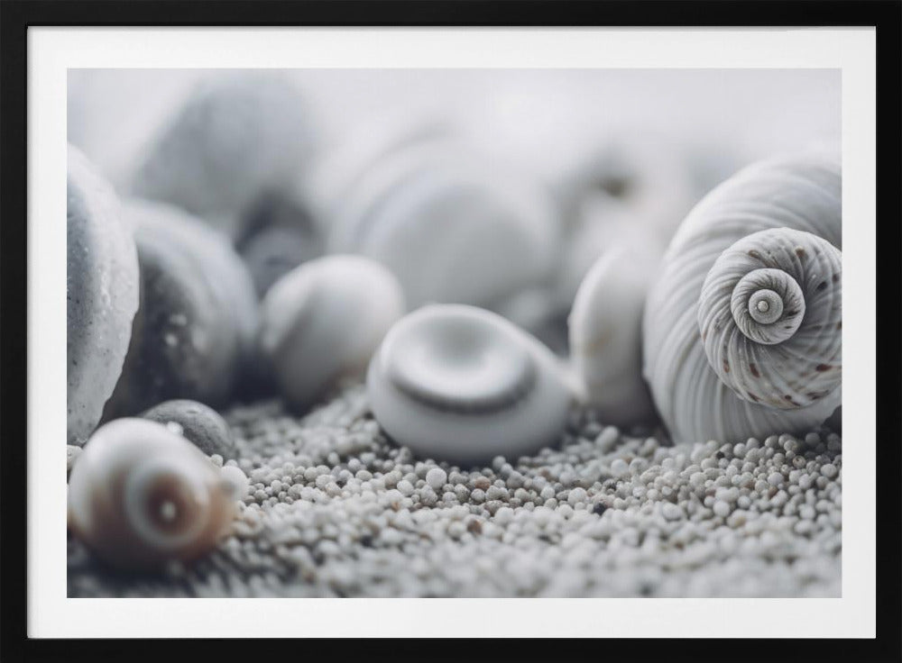 Seashell Serenity | Poster