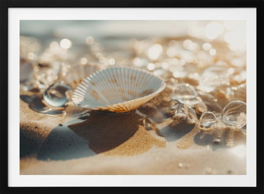 Sandy Treasures | Poster