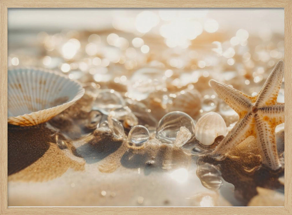 Sandy Treasures | Poster