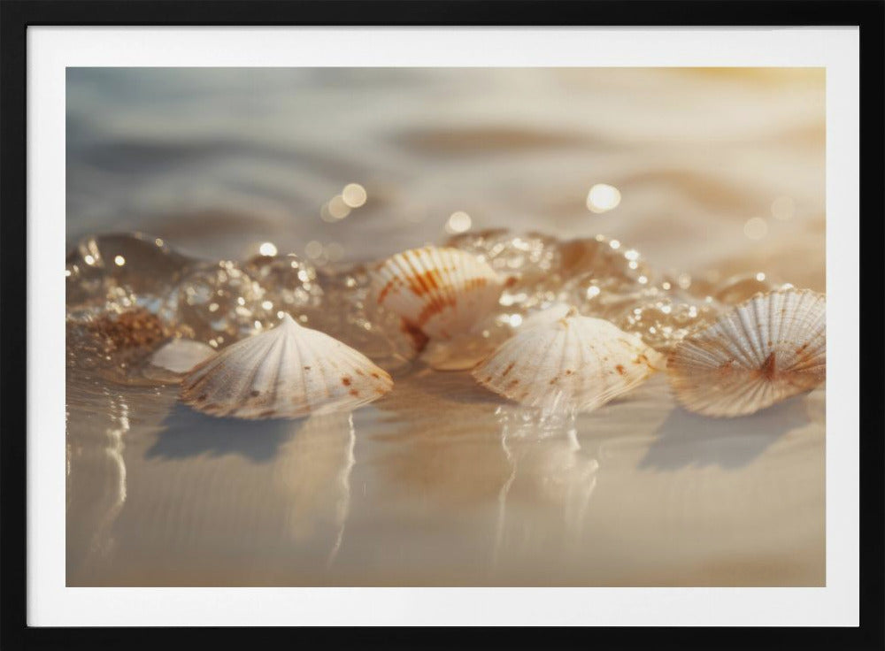 Seashell Serenade | Poster