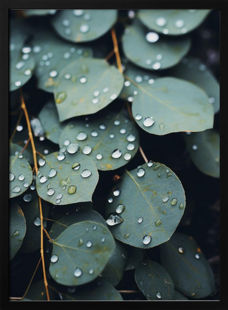 Rain-Kissed Leaves | Poster