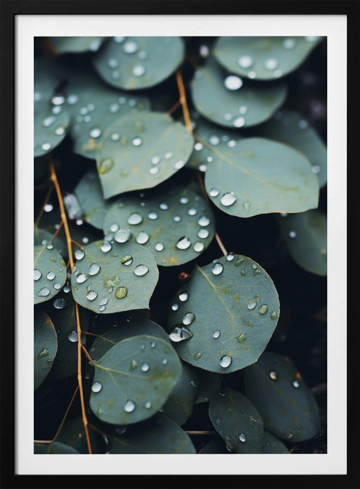 Rain-Kissed Leaves | Poster