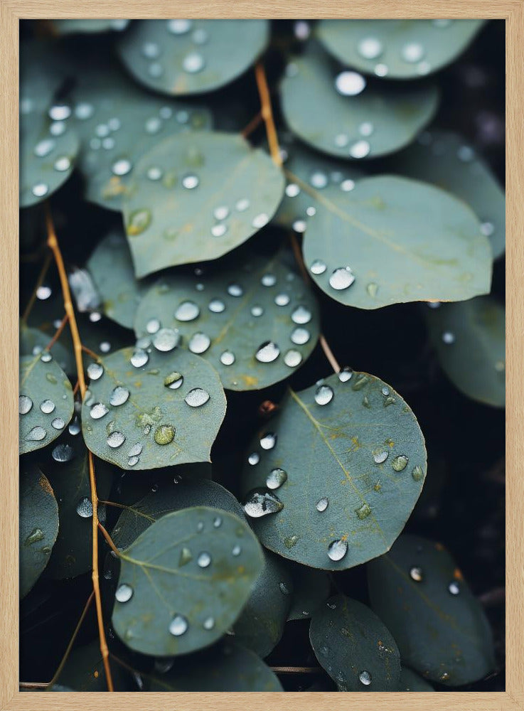 Rain-Kissed Leaves | Poster