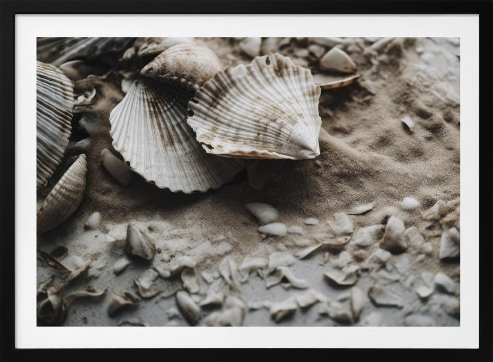 Seashell Serenity | Poster