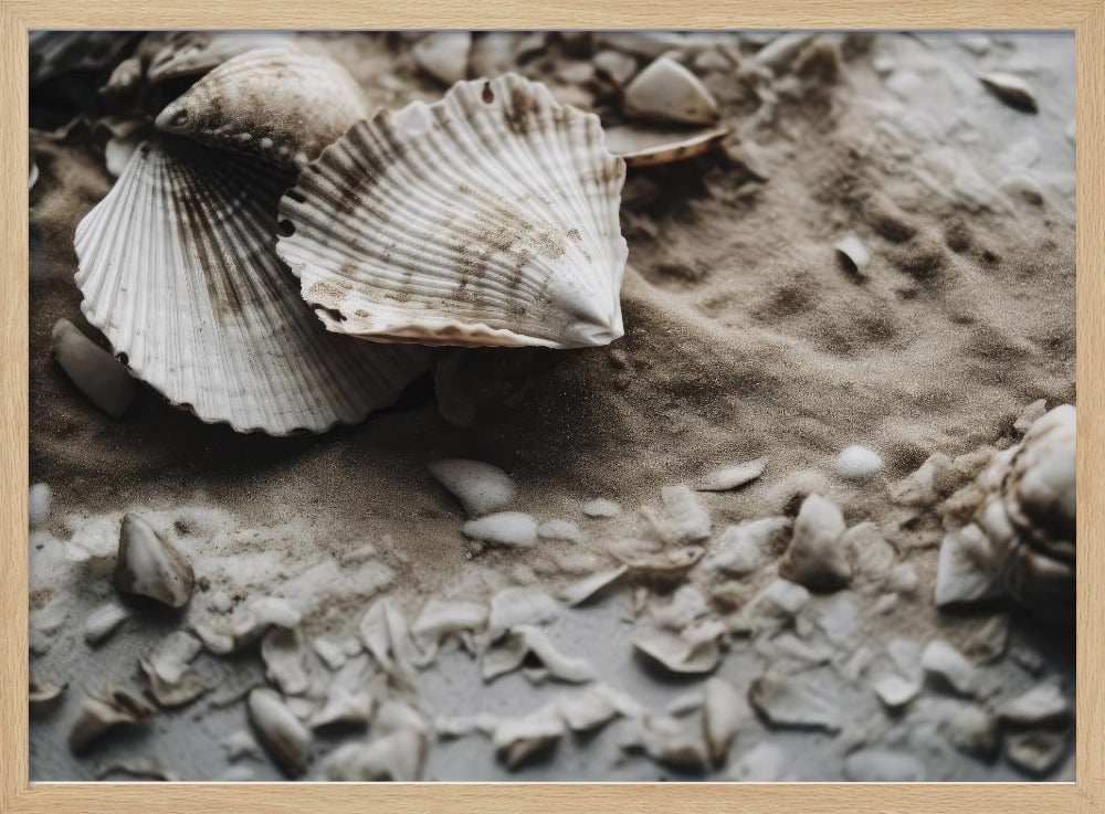 Seashell Serenity | Poster