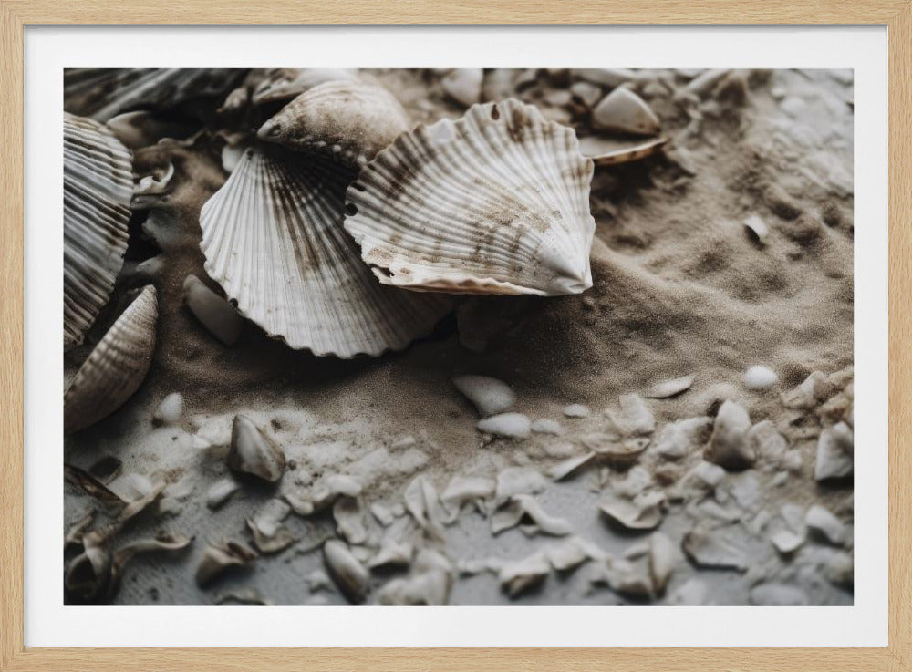 Seashell Serenity | Poster