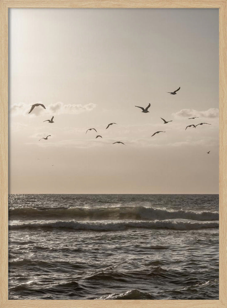 Birds and the Sea 3 | Poster
