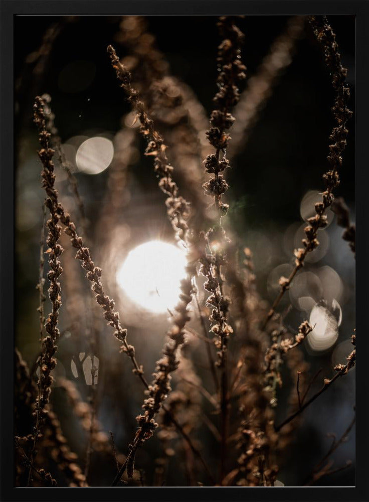 Natural Sparkle 2 | Poster