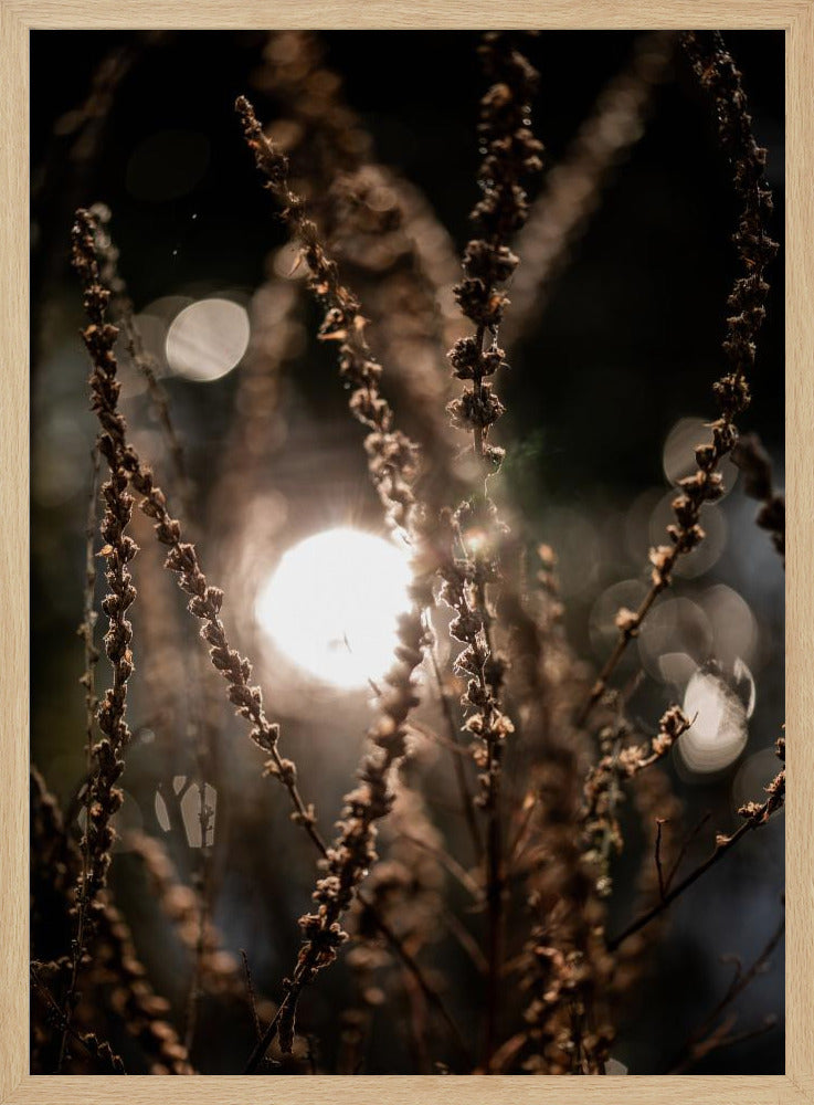 Natural Sparkle 2 | Poster