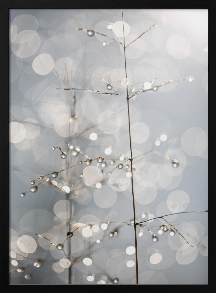 Natural Sparkle | Poster