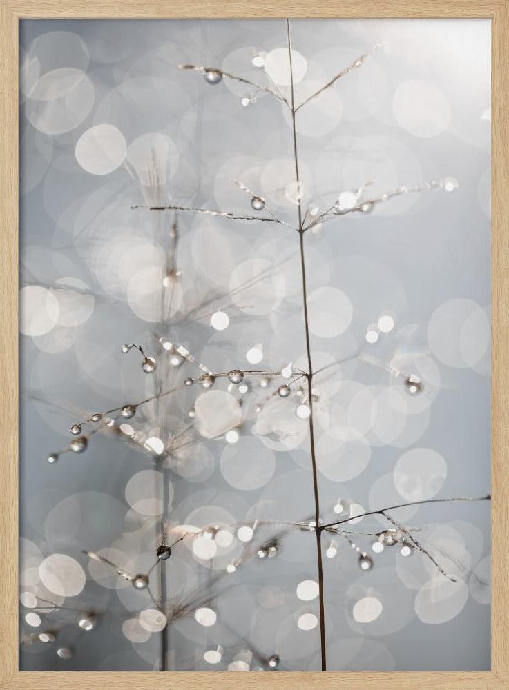 Natural Sparkle | Poster