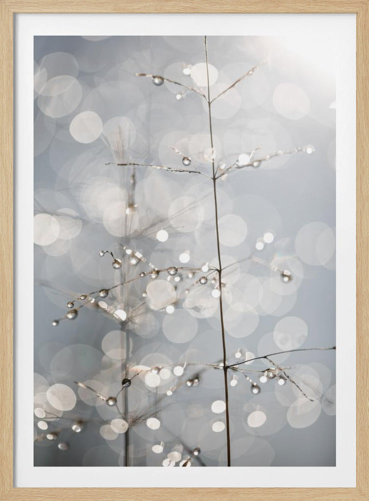 Natural Sparkle | Poster