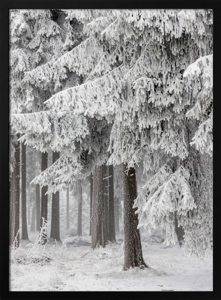 Winter Forest 2 | Poster
