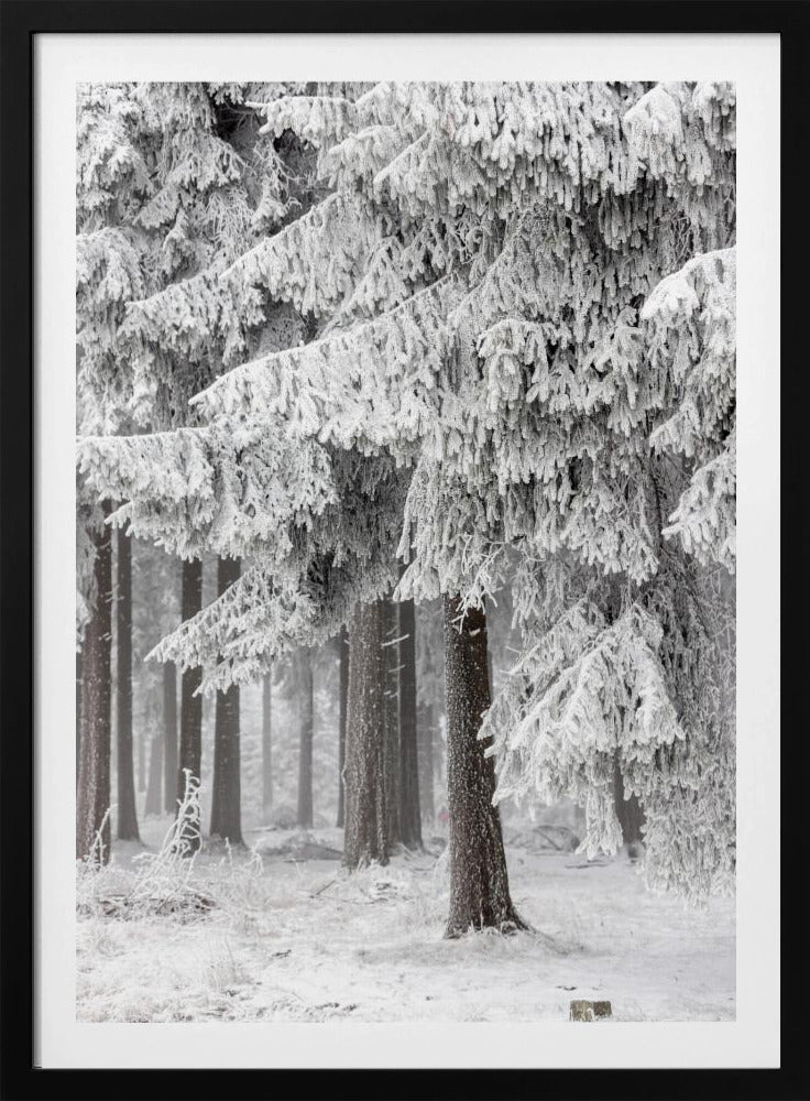 Winter Forest 2 | Poster