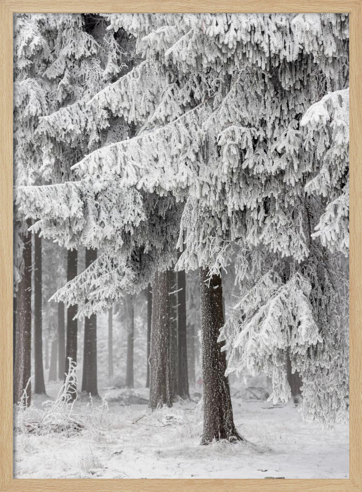 Winter Forest 2 | Poster