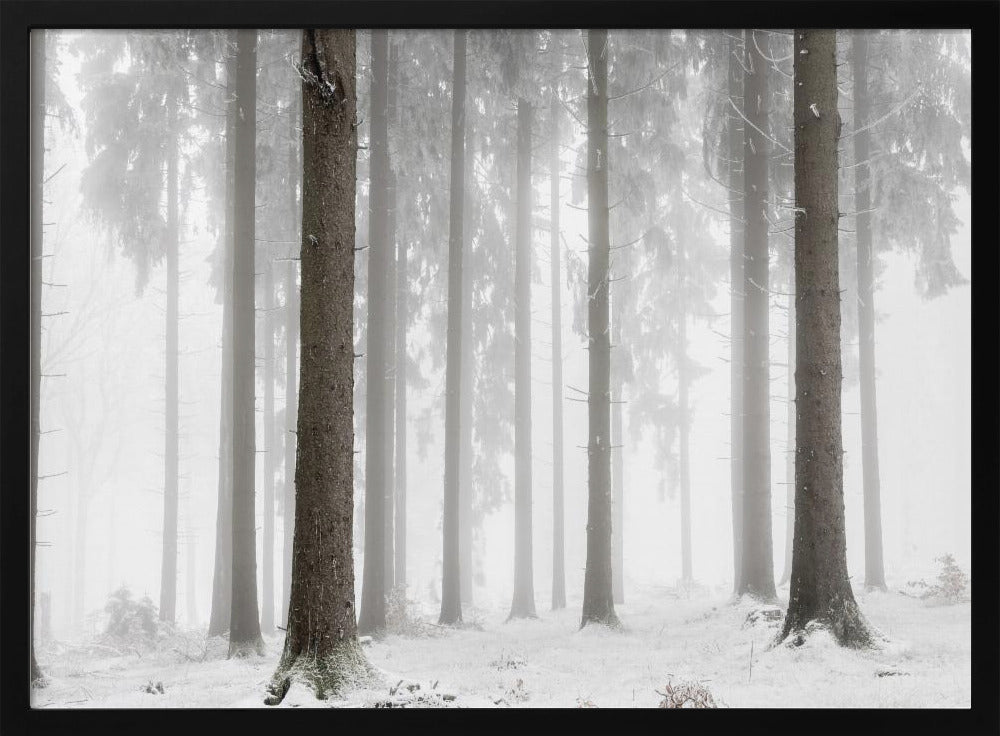 Winter Forest | Poster