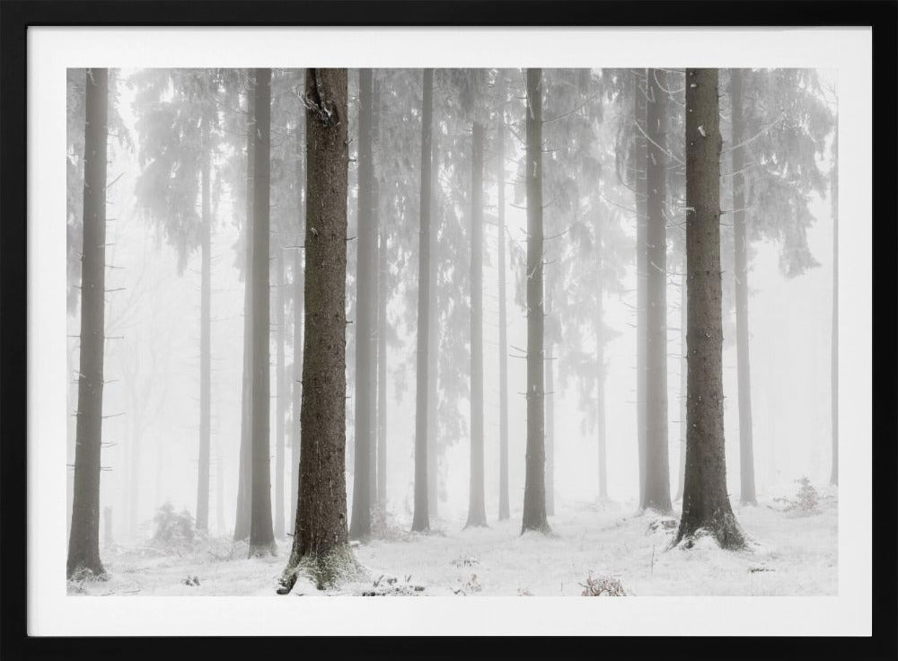 Winter Forest | Poster