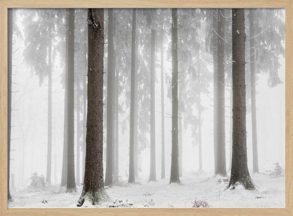 Winter Forest | Poster