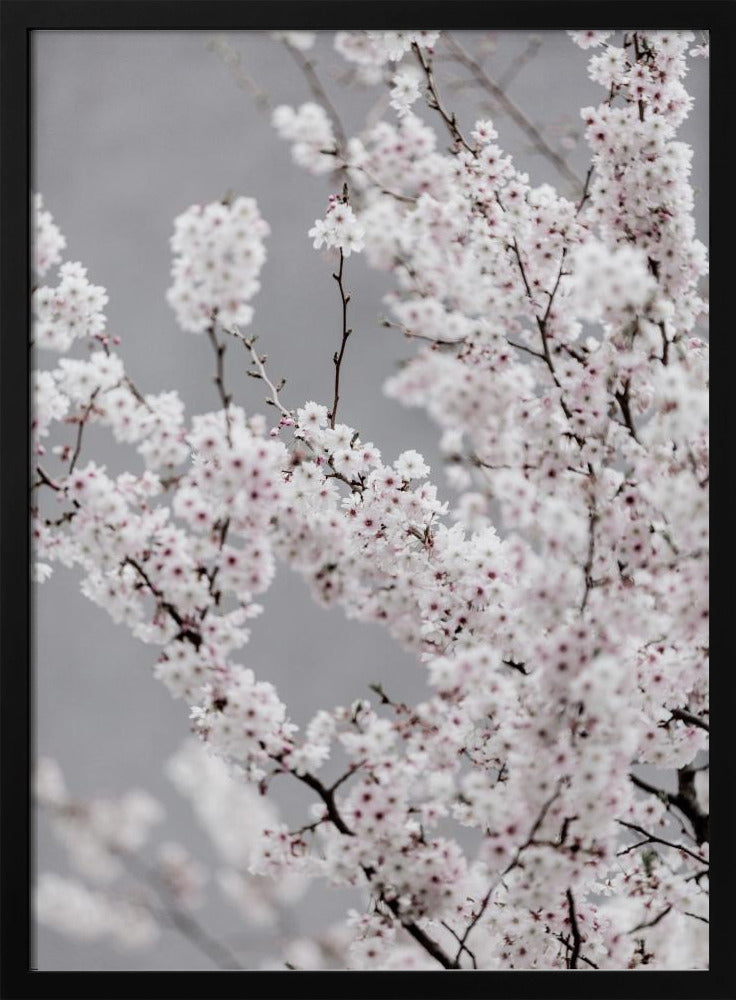 Colorful Spring 6 | Poster