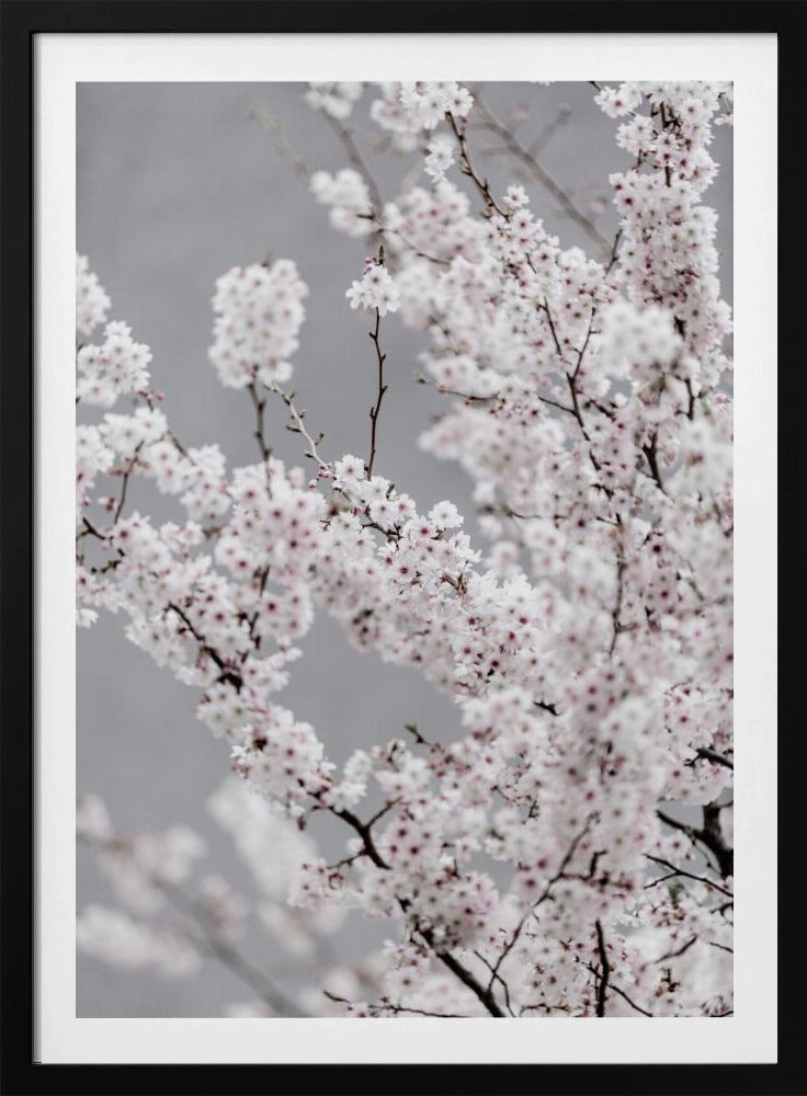 Colorful Spring 6 | Poster