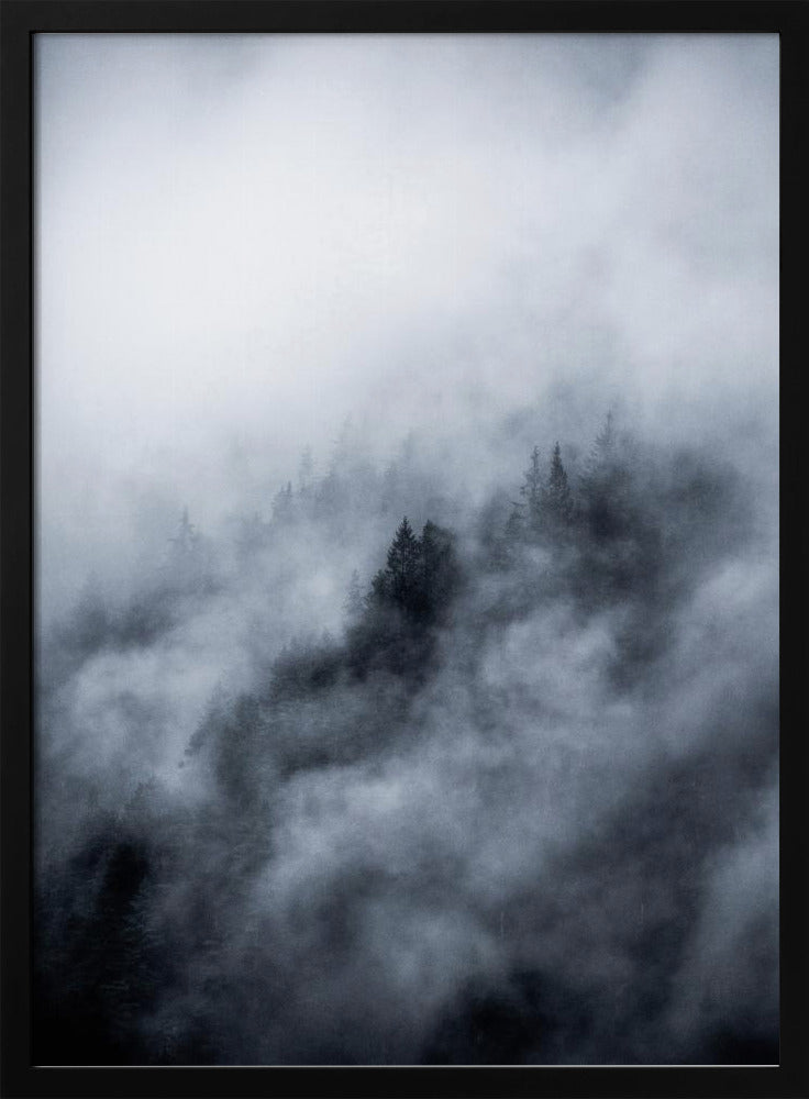 Foggy Morning 3 | Poster