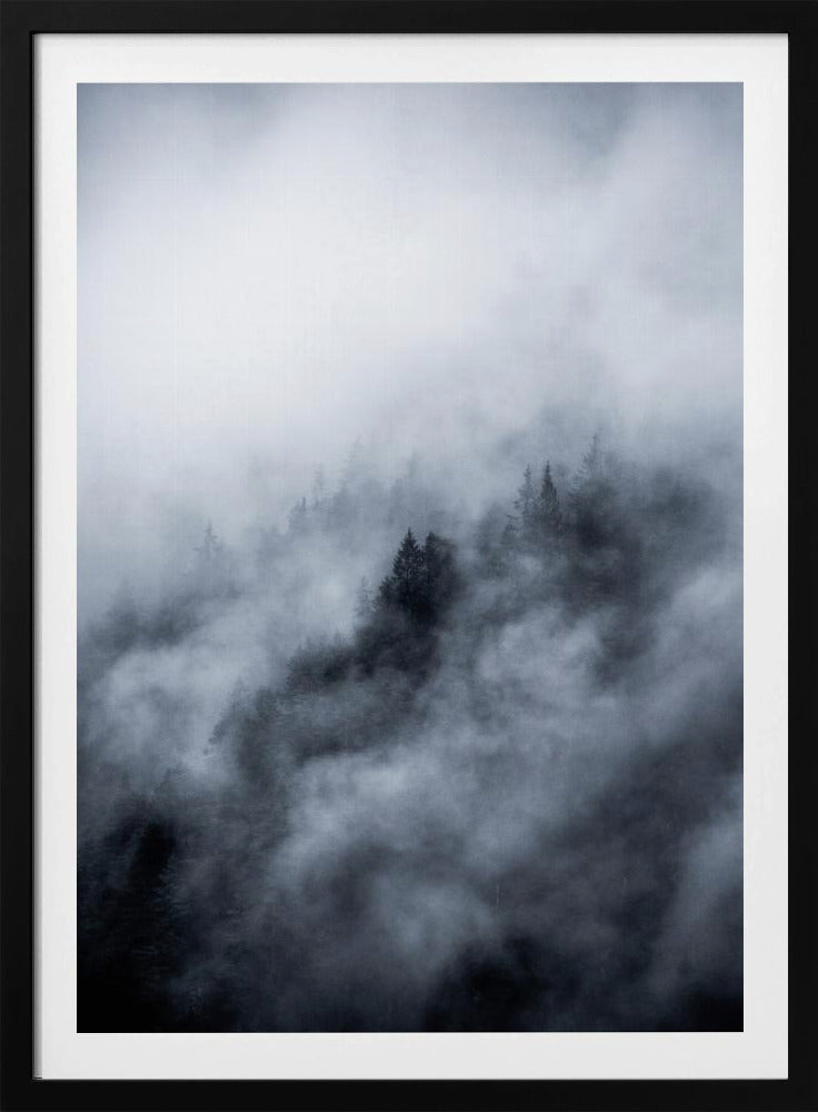 Foggy Morning 3 | Poster