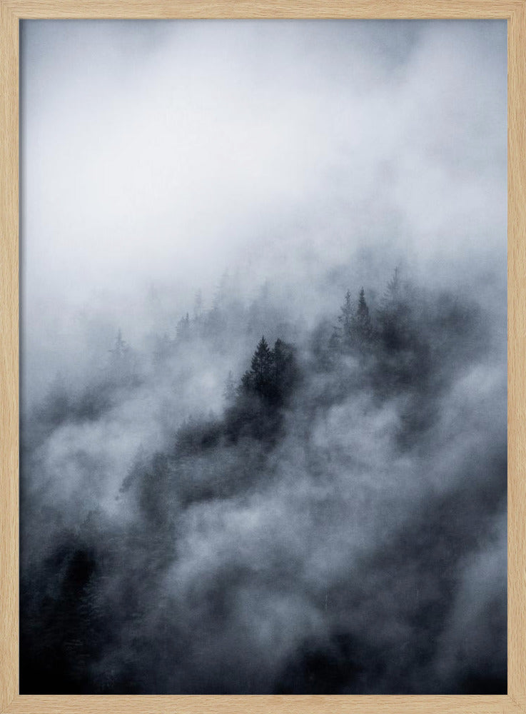 Foggy Morning 3 | Poster