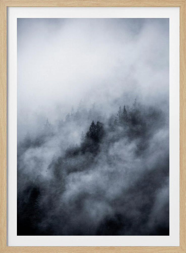 Foggy Morning 3 | Poster