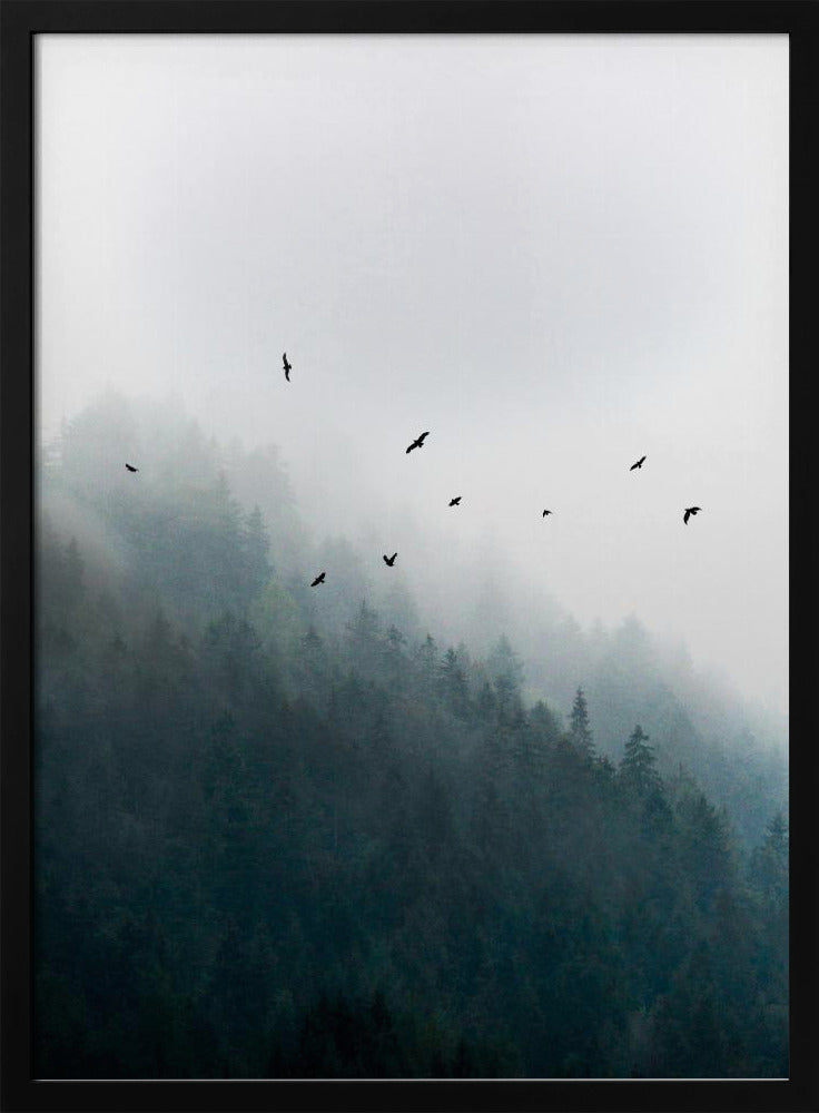 Foggy Morning 4 | Poster