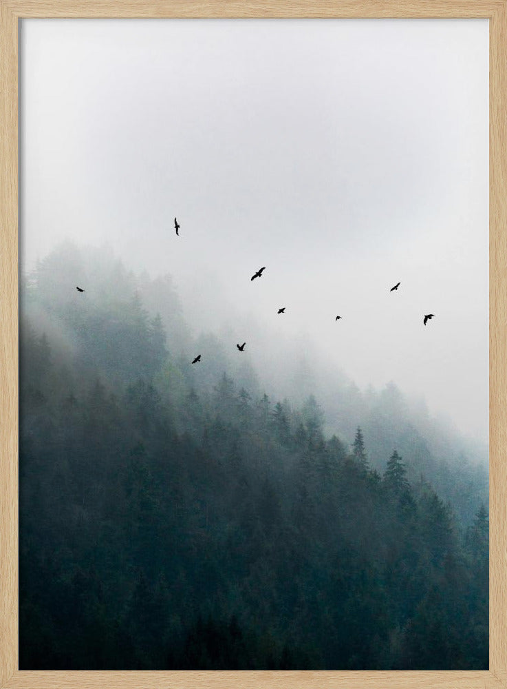 Foggy Morning 4 | Poster