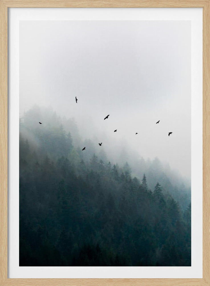 Foggy Morning 4 | Poster