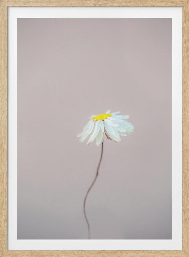 Fragile 1 | Poster
