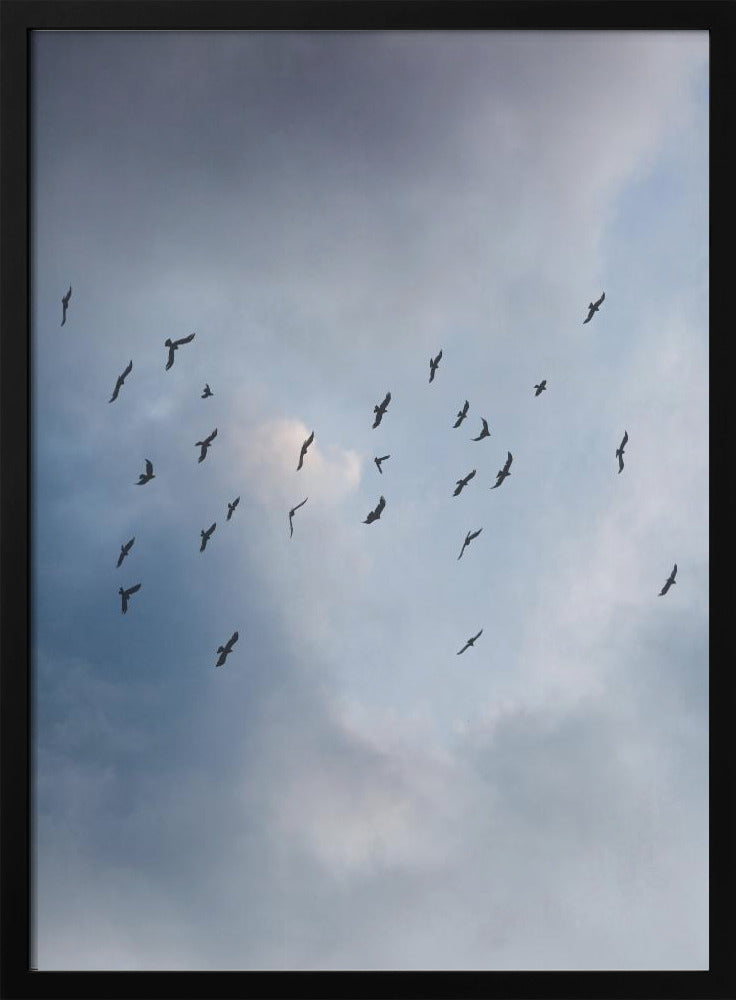 Free As a Bird | Poster