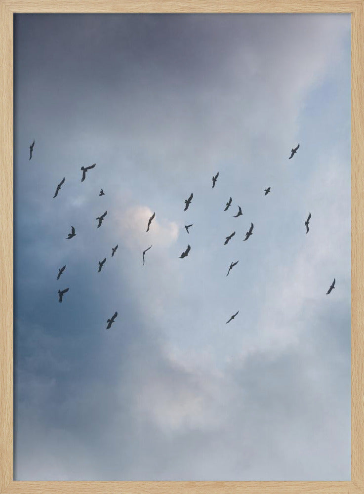 Free As a Bird | Poster