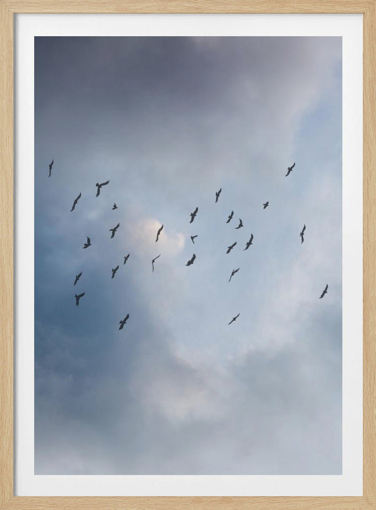 Free As a Bird | Poster