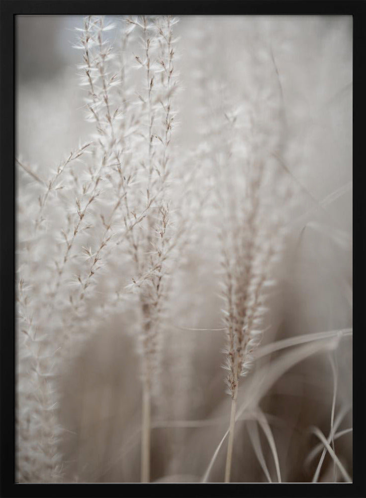 Grass 18 | Poster
