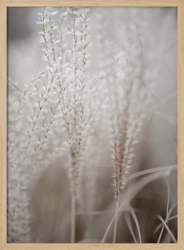 Grass 18 | Poster