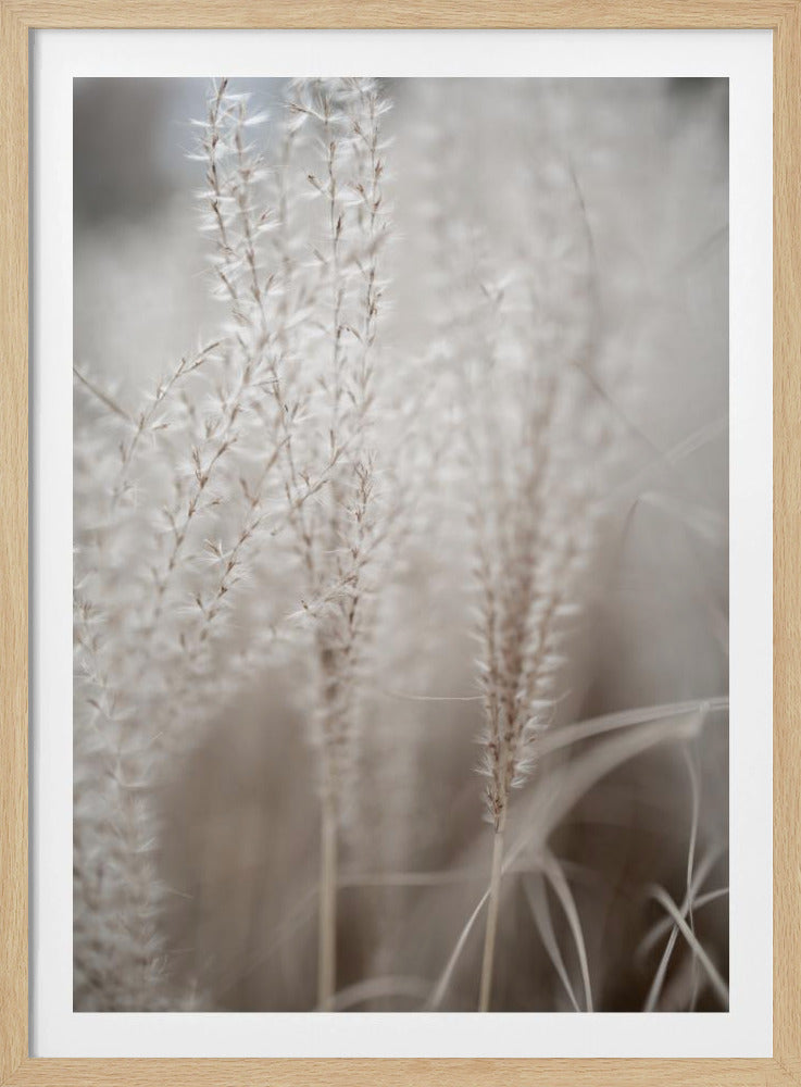 Grass 18 | Poster
