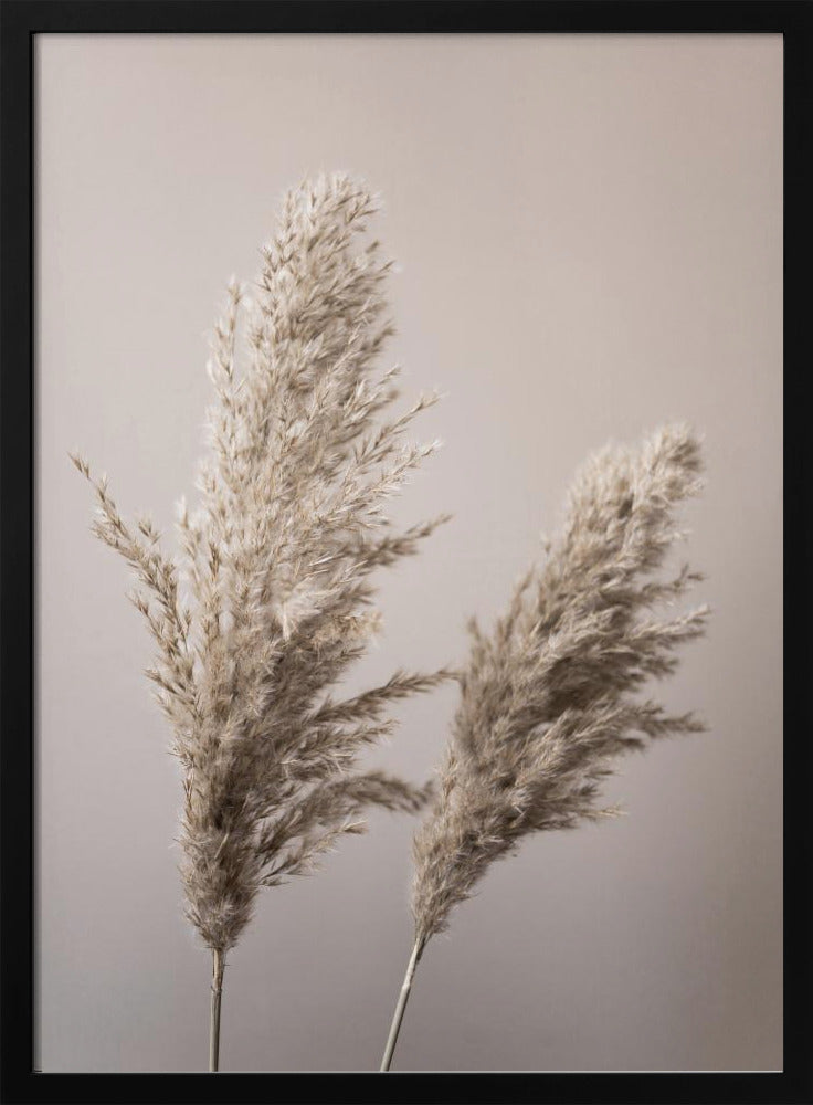 Grass 22X | Poster