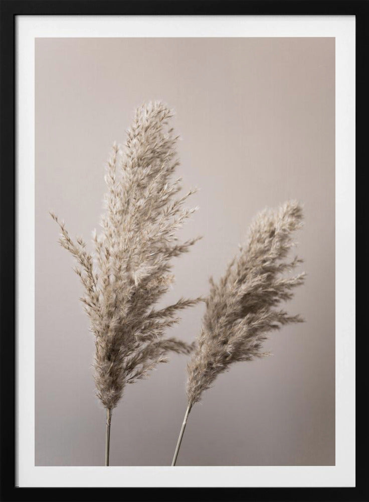 Grass 22X | Poster