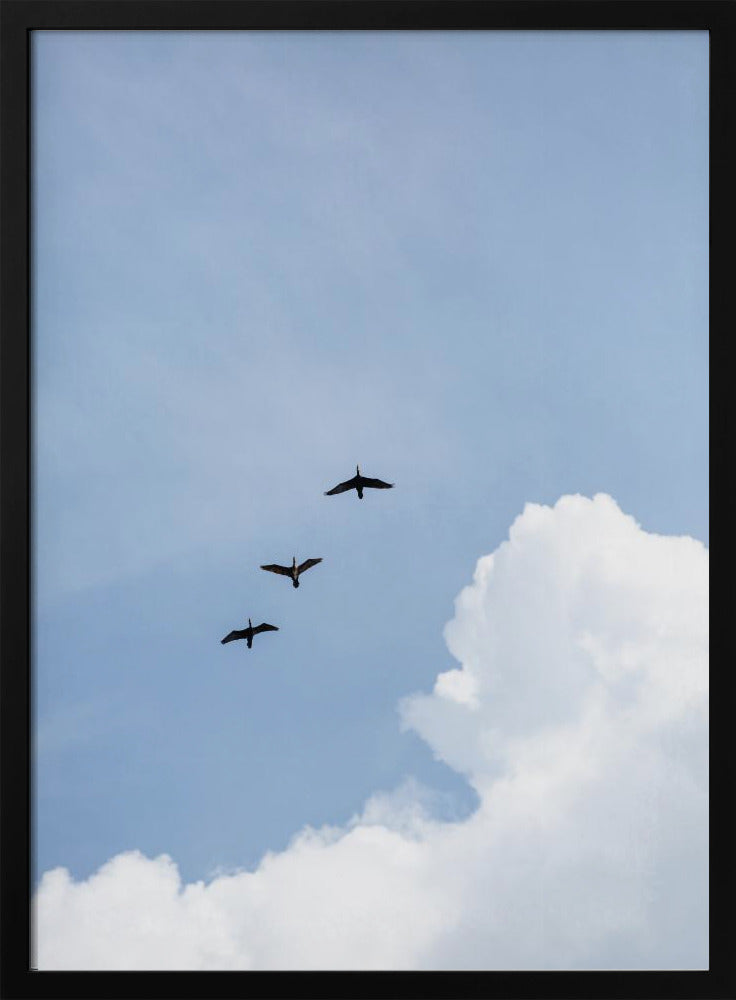 Flying Home | Poster