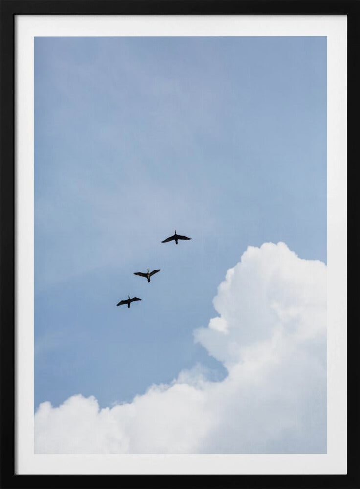 Flying Home | Poster