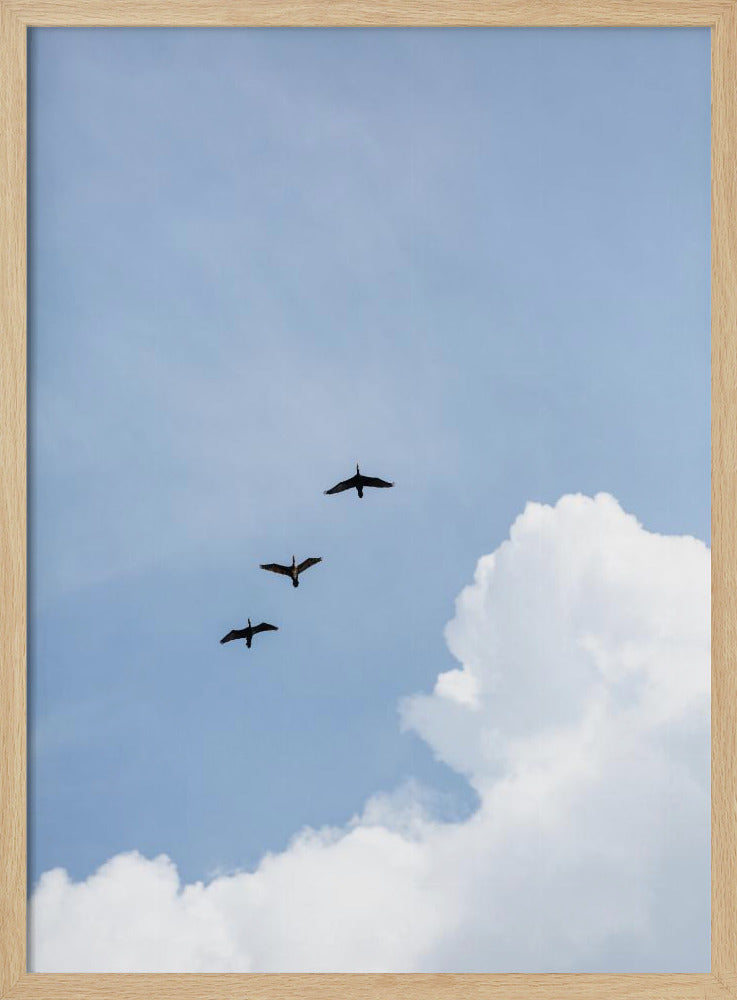 Flying Home | Poster